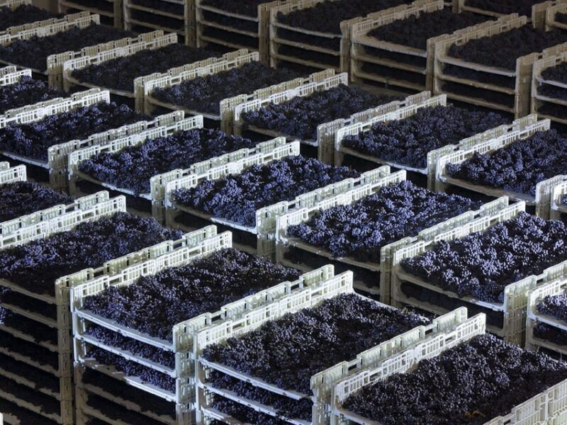 Prosecco Winery Tasting with Food Pairing near Venice - Exploring Veneto’s Prosecco Heritage: A Detailed Look at the Winery Tasting Near Venice