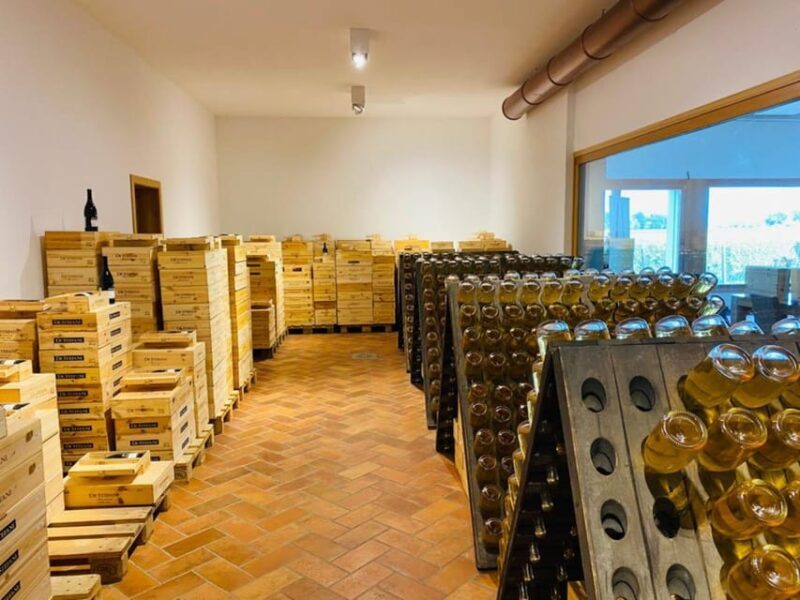 Prosecco Winery Tasting with Food Pairing near Venice - The Experience Breakdown