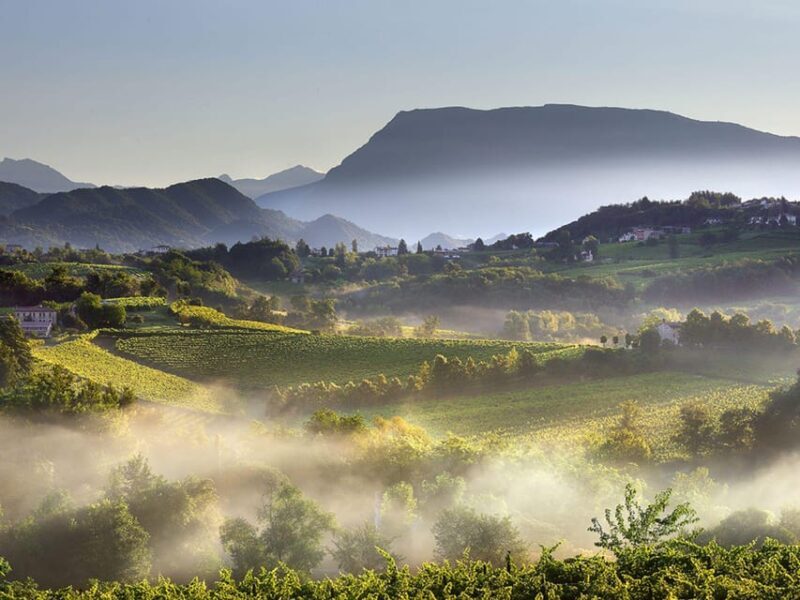 Prosecco Winery Tasting with Food Pairing near Venice - FAQs