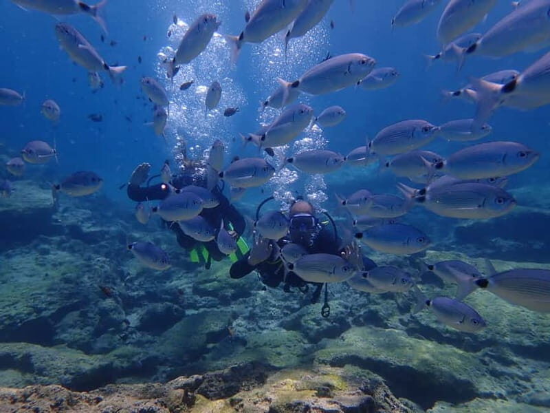 Protaras: 3-4 Day PADI Open Water Diver in Protaras - The Itinerary: Step by Step
