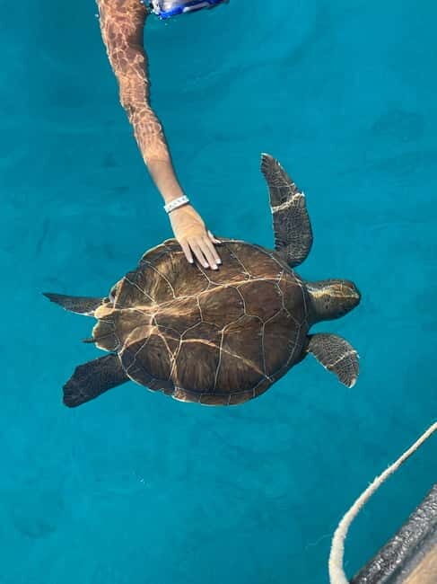 Protaras: Blue Lagoon and Turtles Pirate Cruise - An Honest Look at the Cruise Experience
