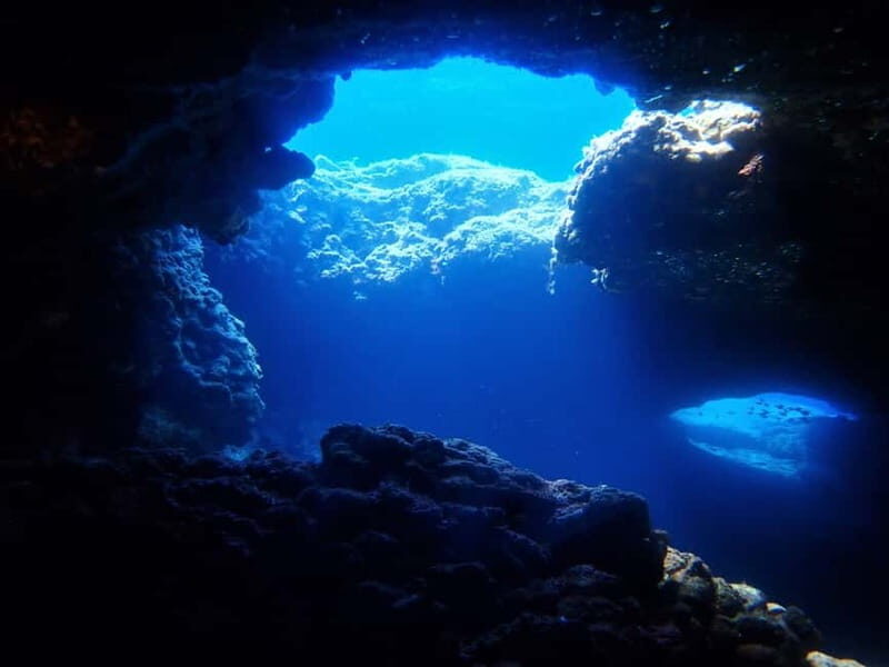 Protaras: Cape Grecko Single Dive for Qualified Divers - The Sum Up