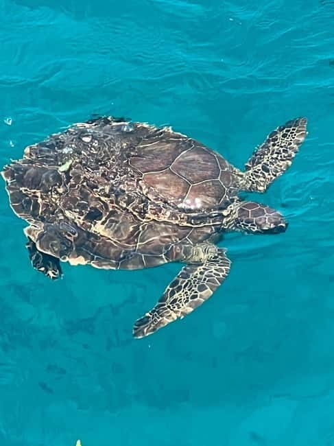 Protaras: Waterworld Turtle Cove Cruise with Swim Stops - Who Will Love This Tour?