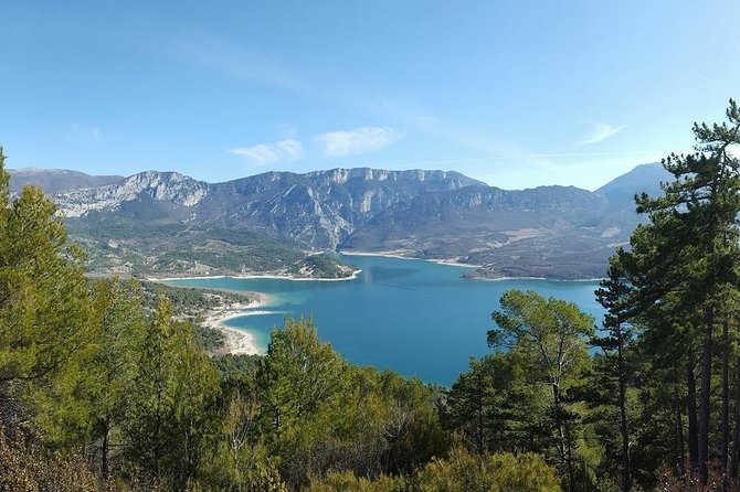 Provence and Lavender - Private & Guided Full Day Tour - Tour Highlights