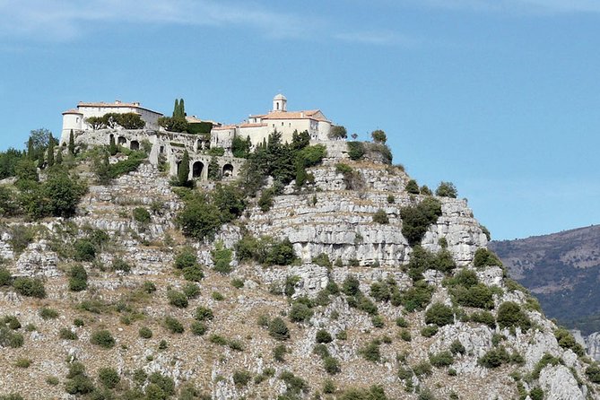 Provence and Lavender - Private & Guided Full Day Tour - Customized Tour Experience