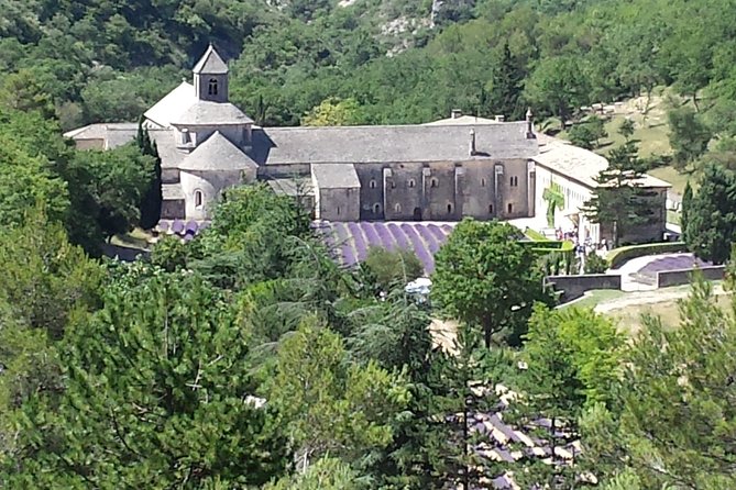 Provence Highlights Full-Day Tour From Avignon - Lavender Fields and Luberon Valley