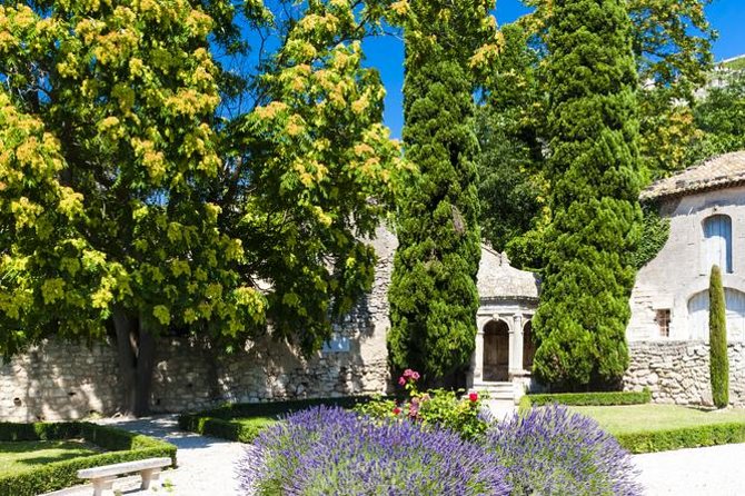 Provence in One Day Small Group Day Trip From Avignon - Saint-Rémy-de-Provence Visit