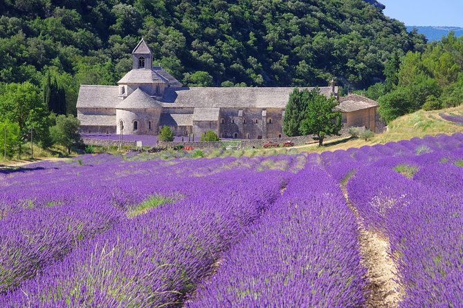 Provence Lavender Full Day Tour From Avignon - Tour Highlights