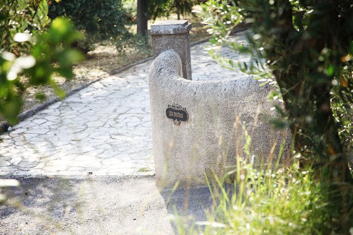 Provence Olive Harvest - Exploring the Property