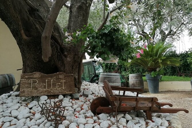Provence Organic Wine Small Group Half Day Tour With Tastings From Nice - Winemaking Insights