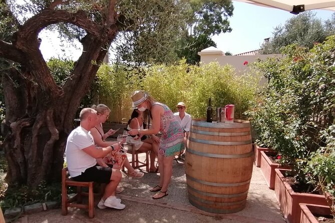 Provence Organic Wine Small Group Half Day Tour With Tastings From Nice - Tasting Experiences
