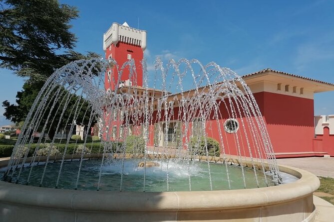 Provence Organic Wine Small Group Half Day Tour With Tastings From Nice - Group Size and Minimum