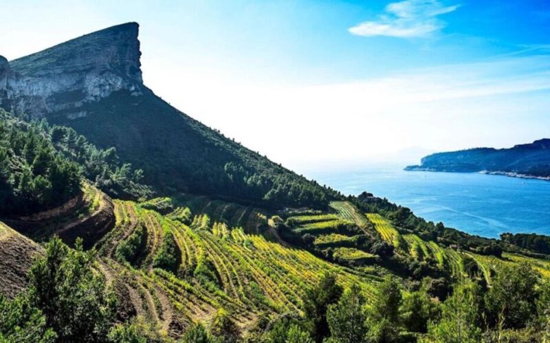 Provence Private Tour: Aix-En-Provence, (Marseille) & Cassis - Aix-en-Provence: City of Art and History