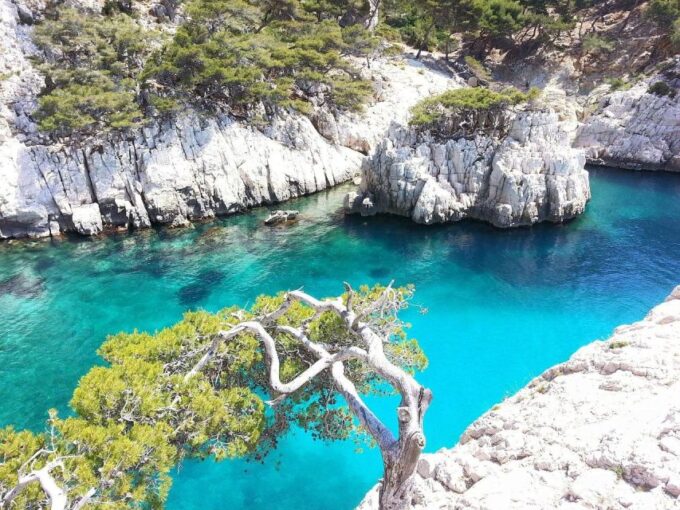 Provence Private Tour: Aix-En-Provence, (Marseille) & Cassis - Marseille: Diversity and Mediterranean Charm