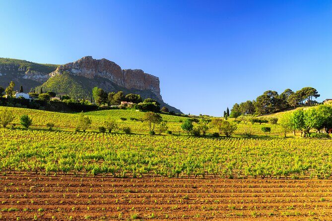 Provence Small Group Wine Full Day Tour in Chateauneuf du Pape vineyard from Aix - Final Note