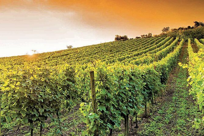 provence wine tasting - Frequently Asked Questions