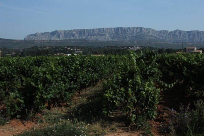 Provence Wineries and Luberon Villages Day Trip from Aix-en-Provence - Transportation and Group Size