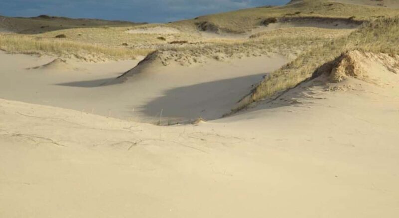 Provincetown: Cape Cod National Seashore Park Dune Tour - The Sum Up