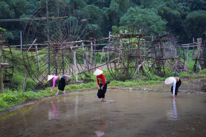 Pu Luong 2 Days 1 Night - Trekking, Cloud Hunting - Included Services