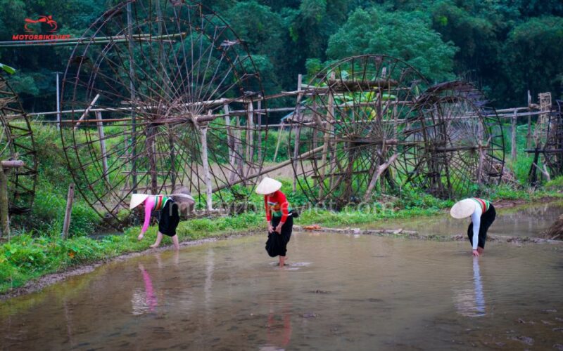 Pu Luong Trekking Tour Price 3 Days 2 Nights - Daily Itinerary