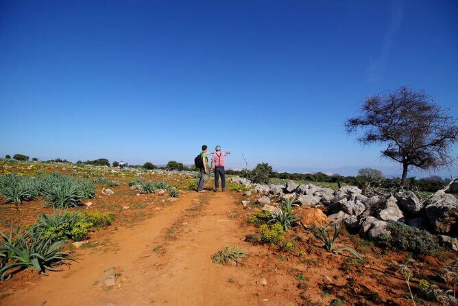 PUBLIC 5,5h Plavnik Island Half-day Boat Trip - Key Points