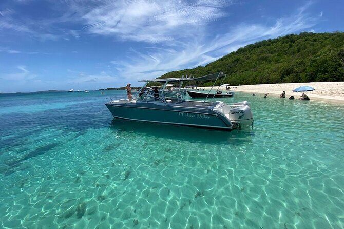 Public or Private Boat Trip to Icacos & Palomino - What Travelers Really Think