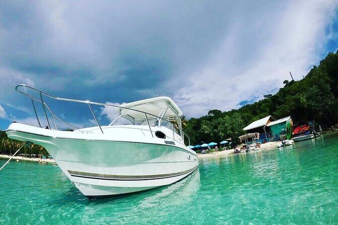 Public or Private Boat Trip to Icacos & Palomino - Pricing and Value