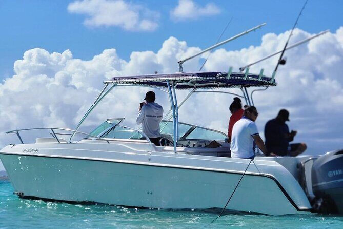Public or Private Boat Trip to Icacos & Palomino - The Sum Up: Is It Worth It?