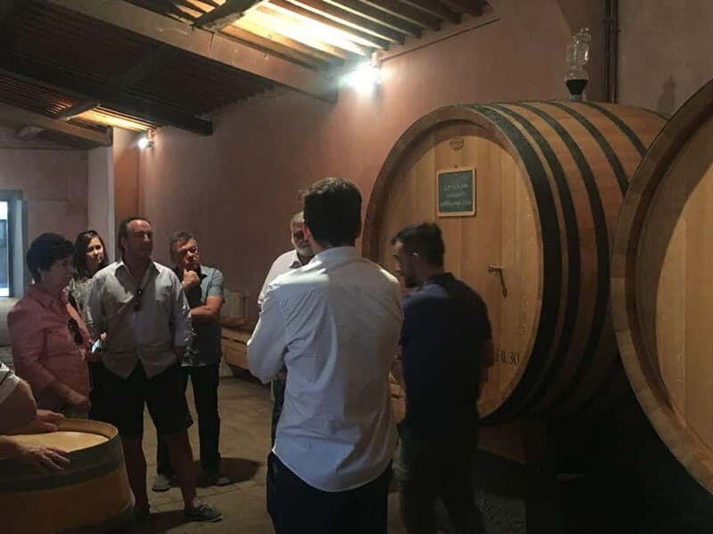 Public Tour of Pompeii Excavations: Wine and Cheese Tasting and Lunch - An In-Depth Look at the Tour