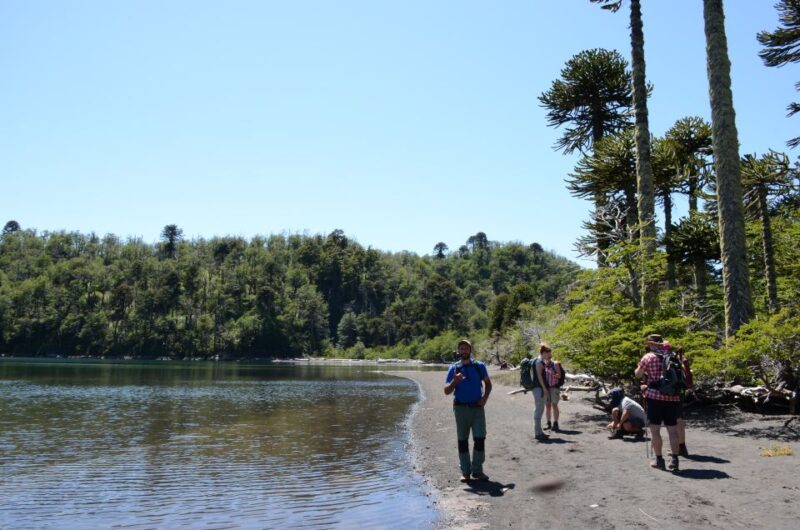 Pucon: Full-Day Villarrica National Park Hike - Detailed Itinerary
