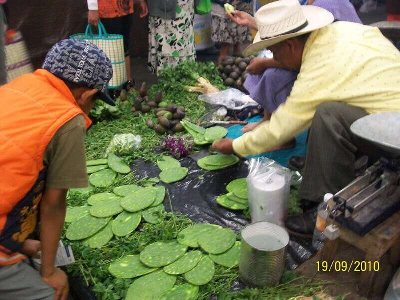 Puebla: 5-Hour Culinary Tour with Tastings - Key Points