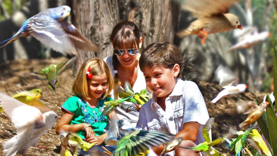 Puebla Africam Safari Park, Live an Unforgettable Adventure! - Tour Duration and Transportation