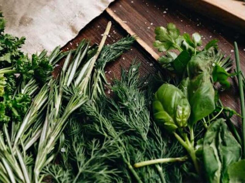 Puebla: Ancestral Aztec Temazcal steam bath ceremony - Key Points