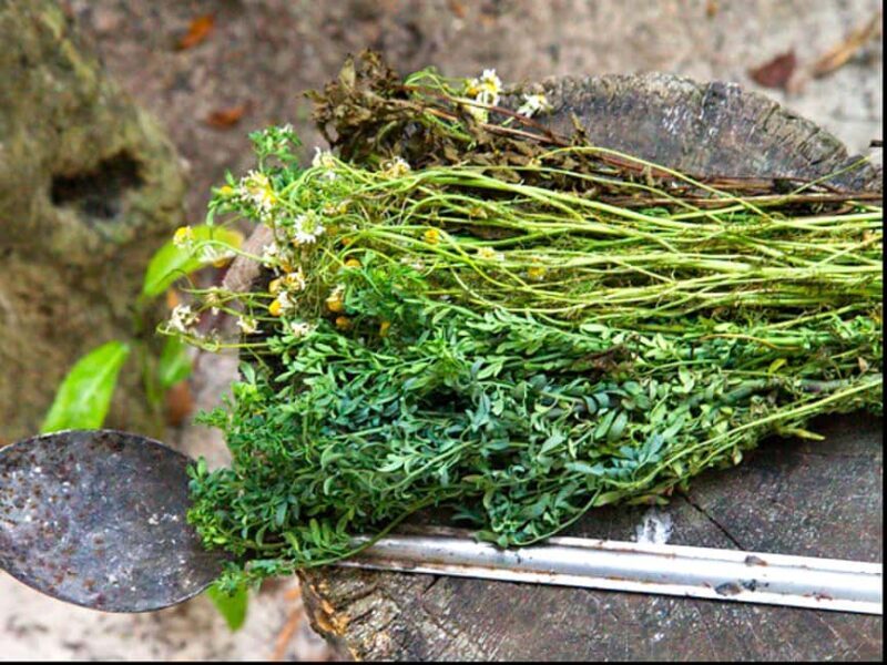 Puebla: Ancestral Aztec Temazcal steam bath ceremony - Who Should Consider This?