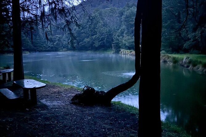 Puebla City Tour & Fireflies Sanctuary from Mexico City - Practicalities: Transportation, Timing, and Group Size