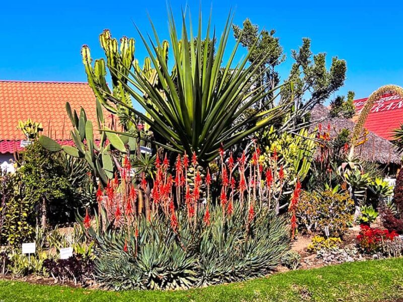 Puebla: Magical Atlixco, Volcano, Unique Garden & Plant Maze - Who Would Love This Tour?