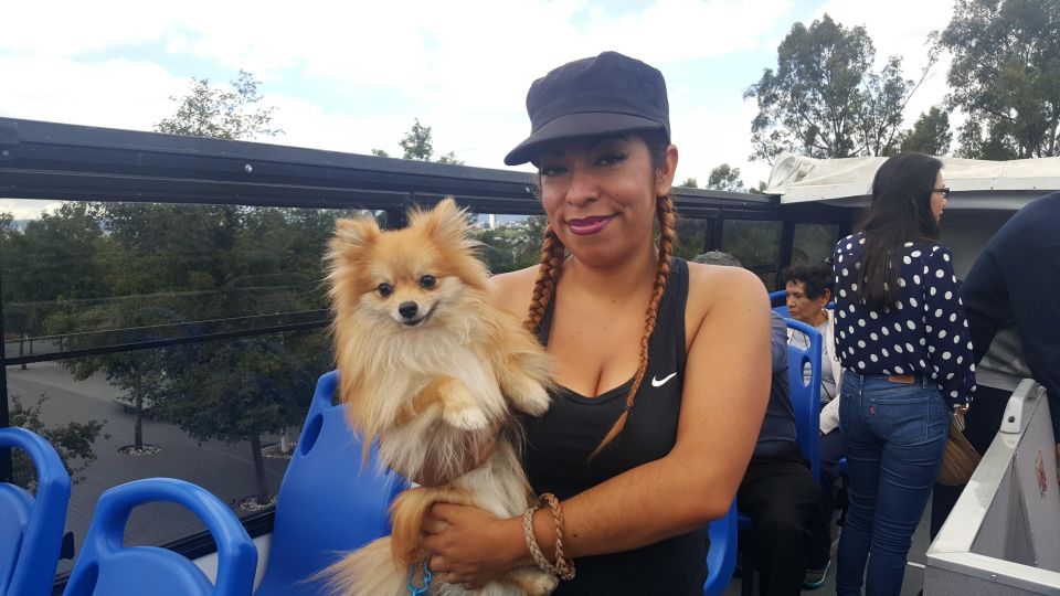 Puebla Sightseeing Tour by Double-Decker Tram - Accessibility and Mobility