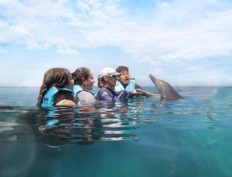 Puerto Aventuras: Dolphin Connection & Manatee Interaction - Who Will Enjoy This Experience?