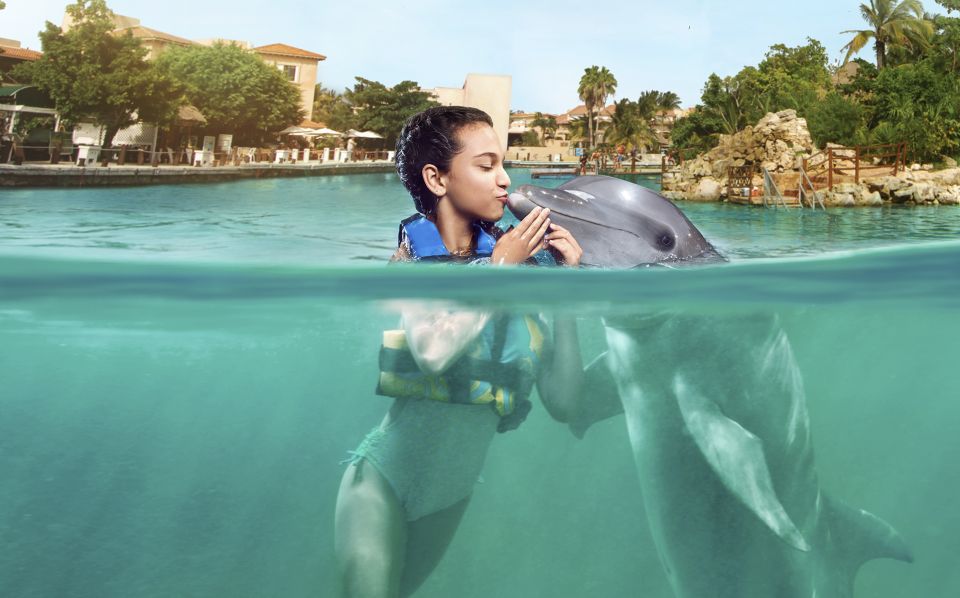 Puerto Aventuras: Dolphin Encounter With Buffet Lunch - Key Points