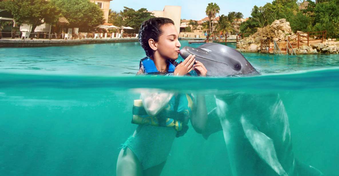 Puerto Aventuras: Dolphin Encounter With Buffet Lunch - Buffet Lunch Details