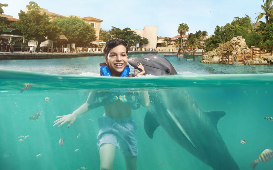 Puerto Aventuras: Dolphin Encounter With Buffet Lunch - Frequently Asked Questions