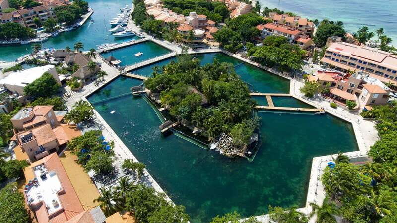 Puerto Aventuras: Dolphin & Manatee Encounter with lunch - Key Points