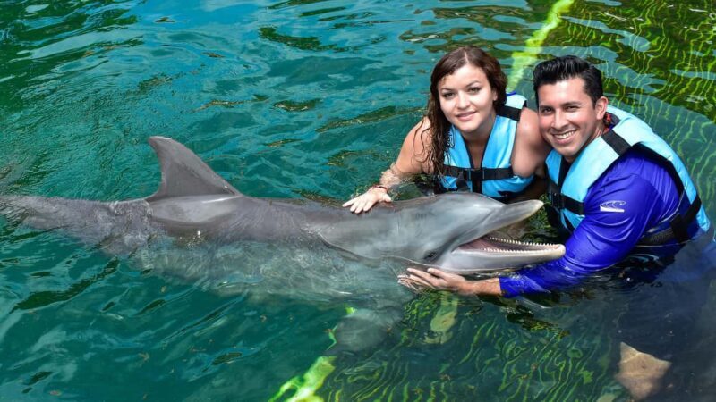 Puerto Aventuras: Dolphin & Manatee Encounter with lunch - What to Expect from the Tour