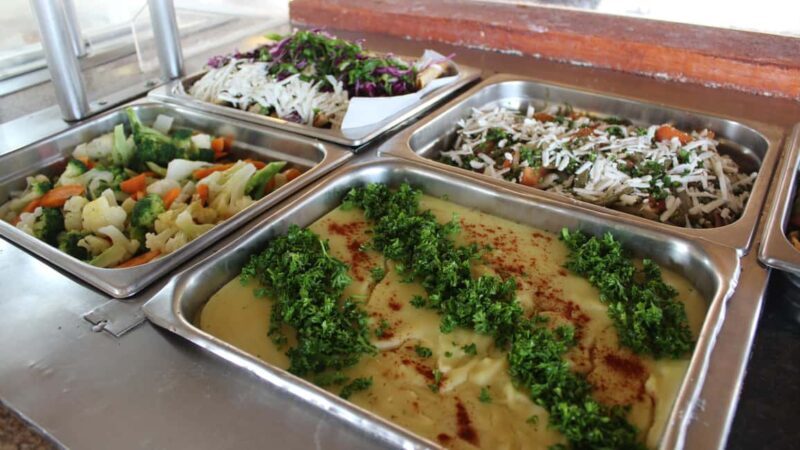 Puerto Aventuras: Dolphin & Manatee Encounter with lunch - The Sum Up