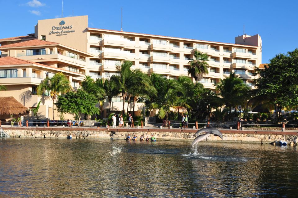 Puerto Aventuras: Dolphin Royal Swim & Kayaking With Buffet - Key Points