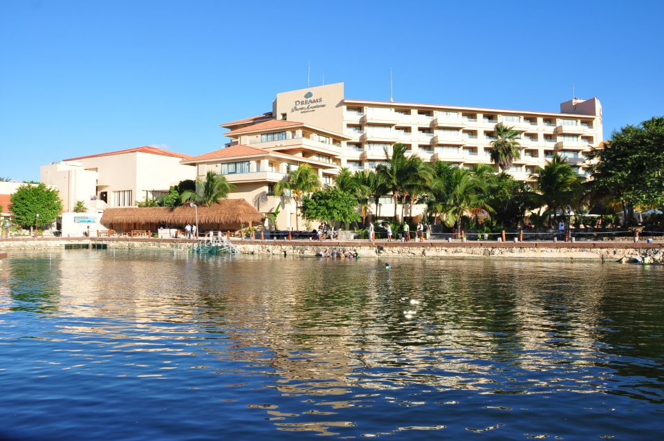 Puerto Aventuras: Dolphin Royal Swim & Kayaking With Buffet - Exploring the Aquatic World