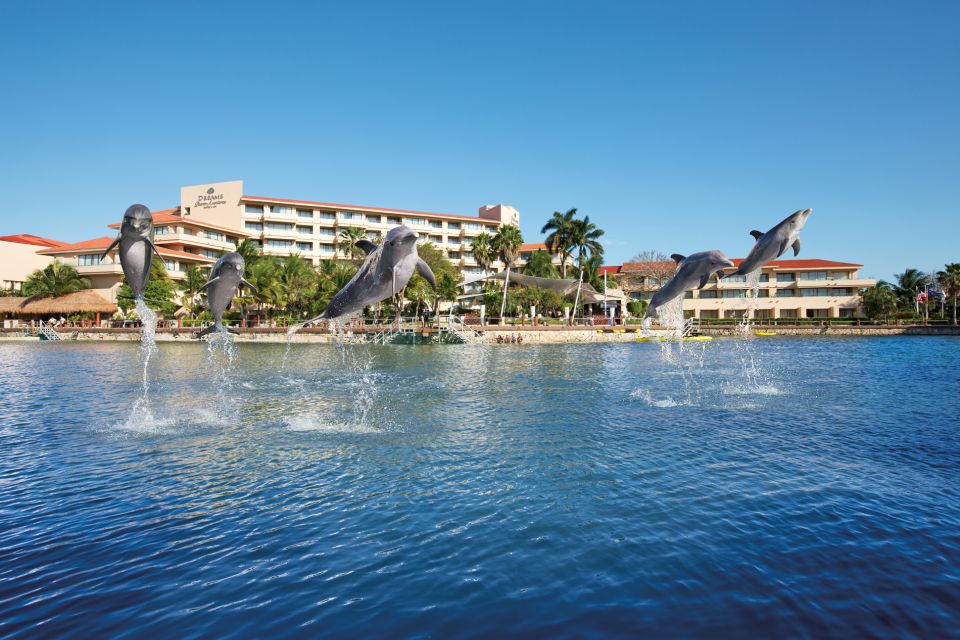 Puerto Aventuras: Dolphin Royal Swim & Kayaking With Buffet - Educational Session With Manatees