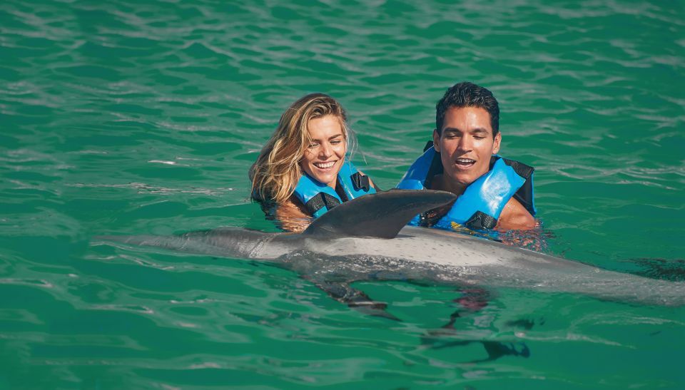 Puerto Aventuras: Dolphin Swim Adventure - Key Points