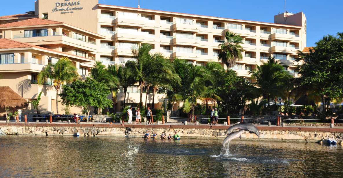 Puerto Aventuras: Dolphin Swim Adventure - Buffet Lunch and Beverages