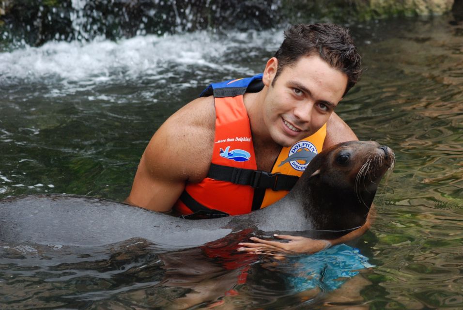 Puerto Aventuras: Dolphin Swim, Sea Lions, Manatees, & Lunch - Buffet Meal With Beverages